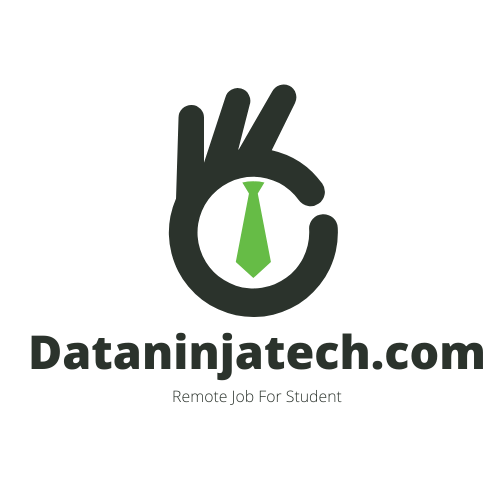 dataninjatech – Guide to Data Entry Jobs